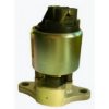 FISPA 83.788 EGR Valve